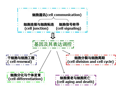 基因信息的传递和蛋白质合成-七年制