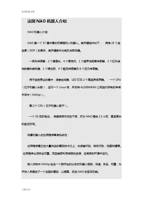 法国NAO机器人介绍