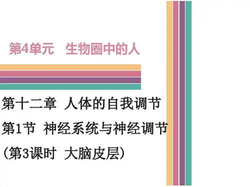 北师大版七年级下册生物第十二章人体的自我调节第一节神经系统与神经调节   第3课时导学课件