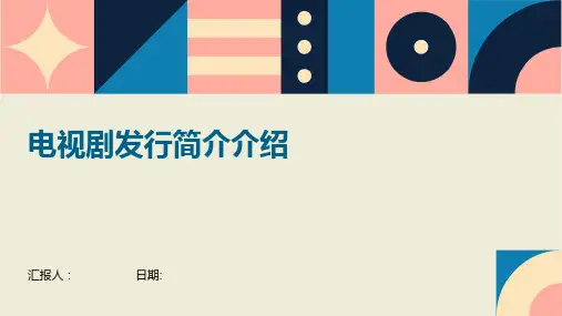 电视剧发行简介介绍