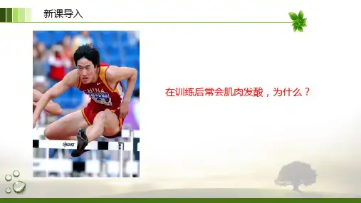 细胞呼吸的原理和应用(教学课件)-高一上学期生物人教版(2019)必修1