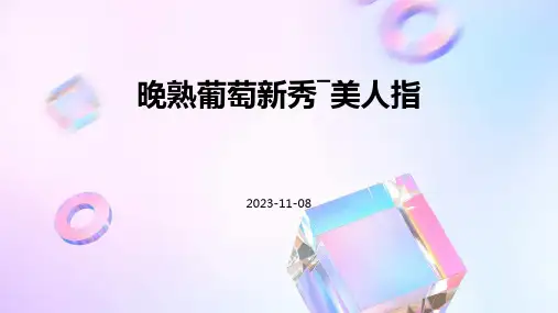 晚熟葡萄新秀―美人指
