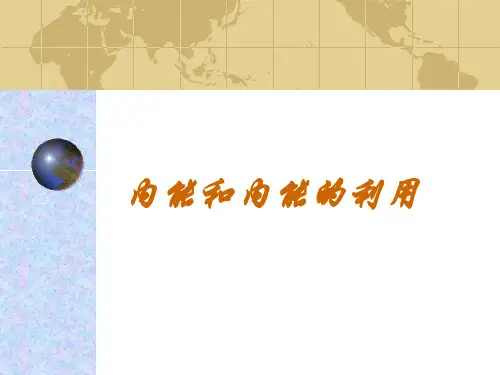 初中物理总复习内能的利用ppt
