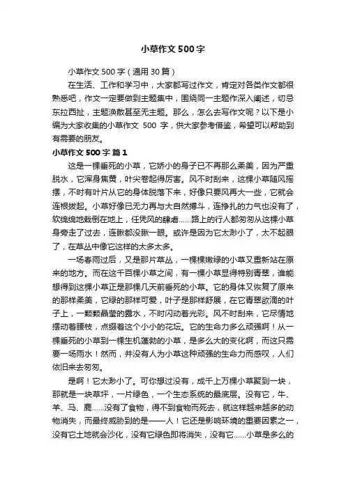 小草作文500字