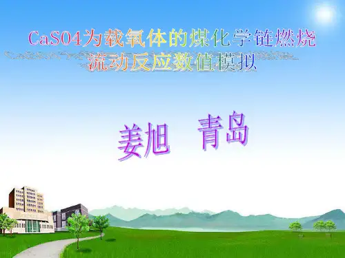 化学链燃烧数值模拟ppt