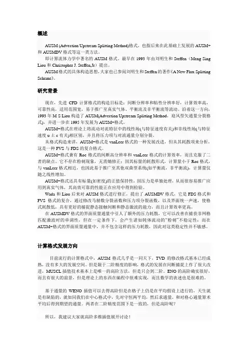 AUSM格式的资料