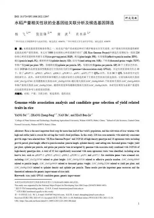 水稻产量相关性状的全基因组关联分析及候选基因筛选