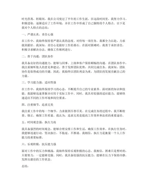 工作总结个人特点