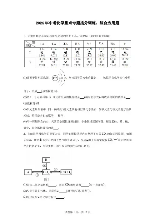 2024年中考化学重点专题提分训练综合应用题