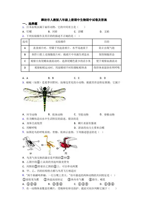 潍坊市人教版八年级上册期中生物期中试卷及答案