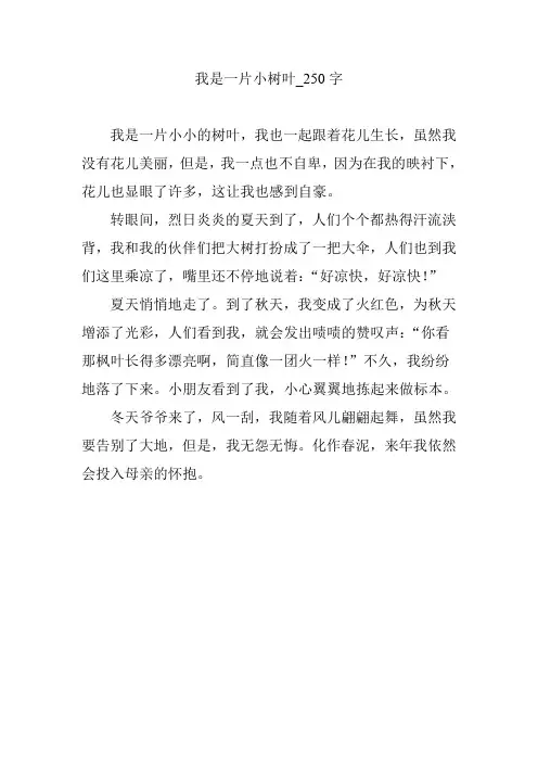 我是一片小树叶_250字