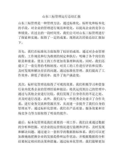 山东三标管理运行总结汇报