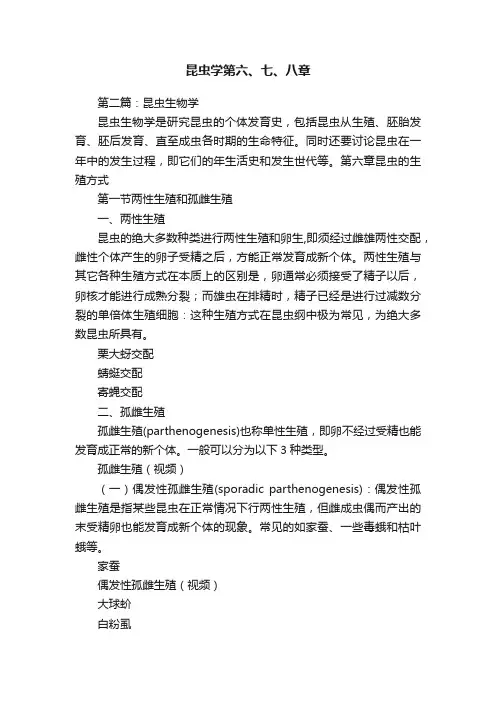 昆虫学第六、七、八章