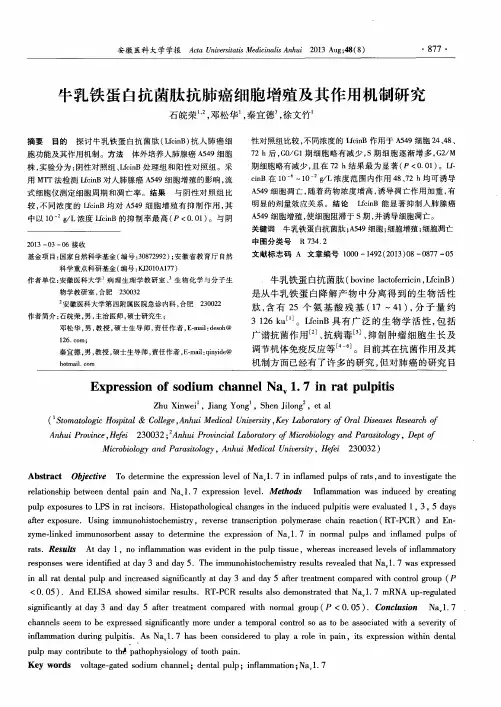 牛乳铁蛋白抗菌肽抗肺癌细胞增殖及其作用机制研究