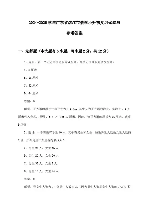 广东省湛江市数学小升初试卷与参考答案(2024-2025学年)