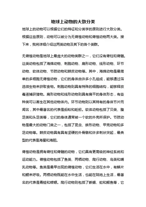 地球上动物的大致分类