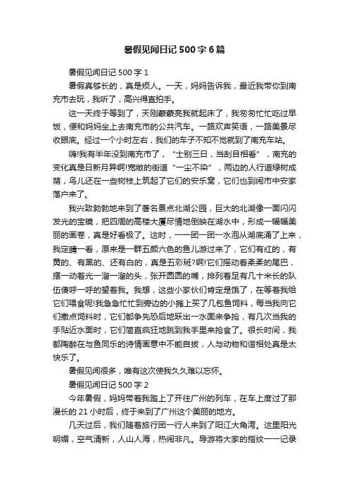 暑假见闻日记500字6篇