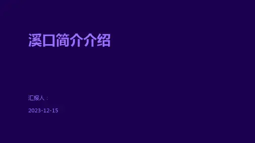 溪口简介介绍