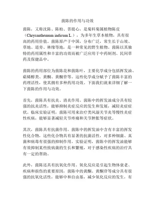 茵陈的作用与功效
