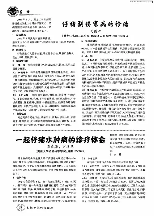 一起仔猪水肿病的诊疗体会