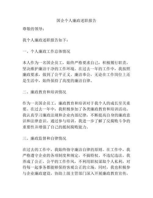 国企个人廉政述职报告