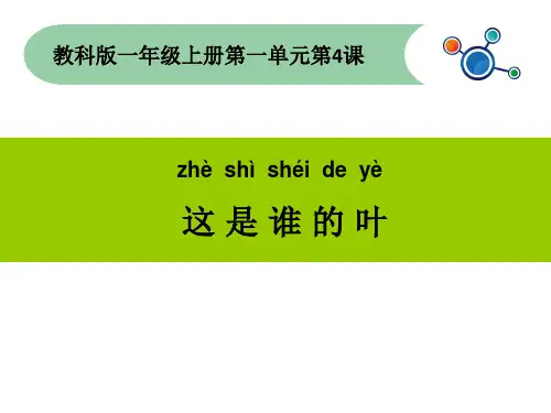 一年级上册科学课件-1.4这是谁的叶(1) l 教科版 (共10张PPT)
