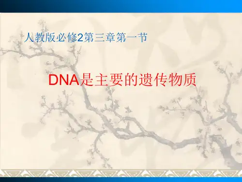 人教版高中生物必修2第3章第1节 DNA是主要的遗传物质(共14张PPT)