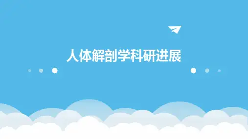 人体解剖学科研进展