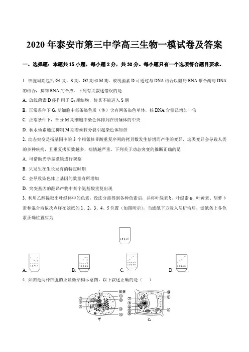 2020年泰安市第三中学高三生物一模试卷及答案