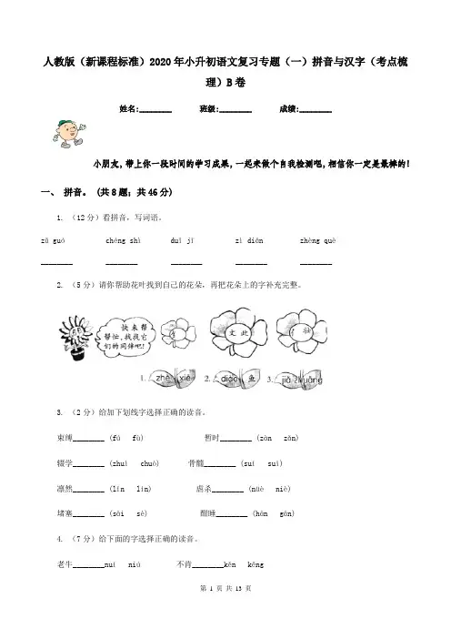 人教版(新课程标准)2020年小升初语文复习专题(一)拼音与汉字(考点梳理)B卷