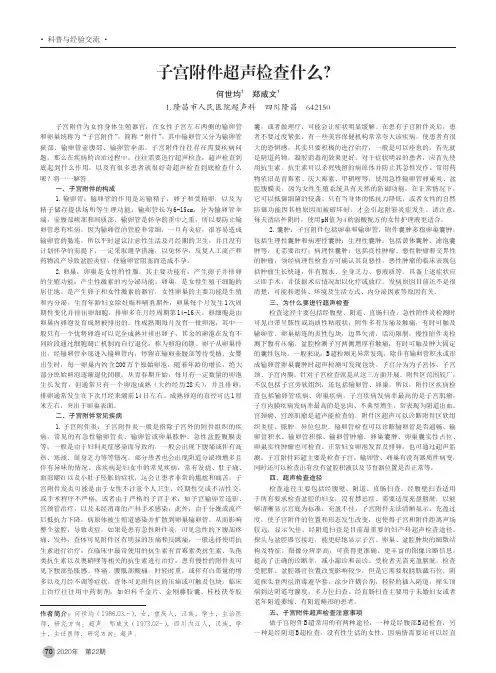 子宫附件超声检查什么