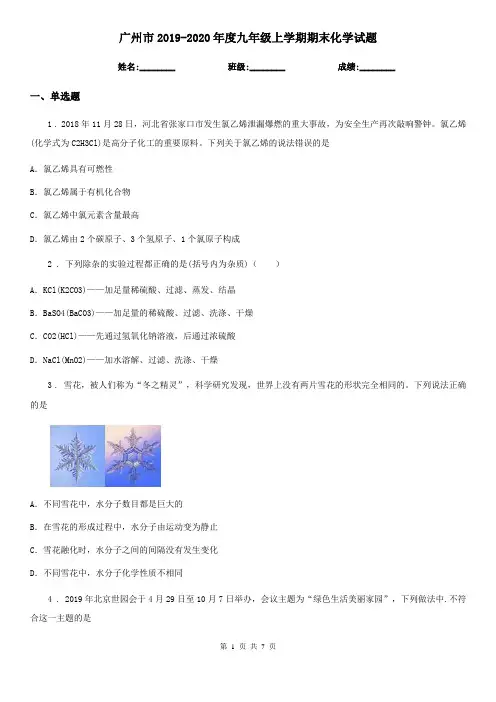 广州市2019-2020年度九年级上学期期末化学试题新版