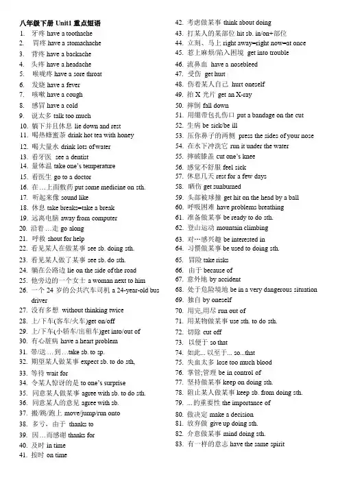 Unit+1重点短语+2023-2024学年人教版八年级英语下册