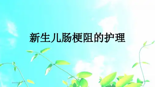 新生儿肠梗阻护理查房ppt参考课件