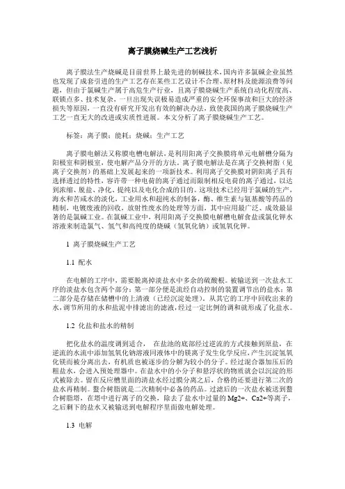 离子膜烧碱生产工艺浅析