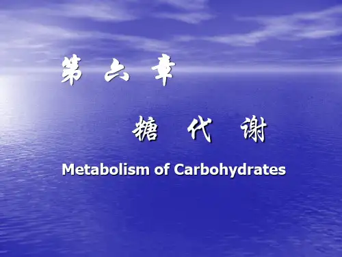 《生物化学》课件——糖代谢(人卫版)