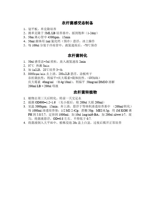 农杆菌感受态制备转化