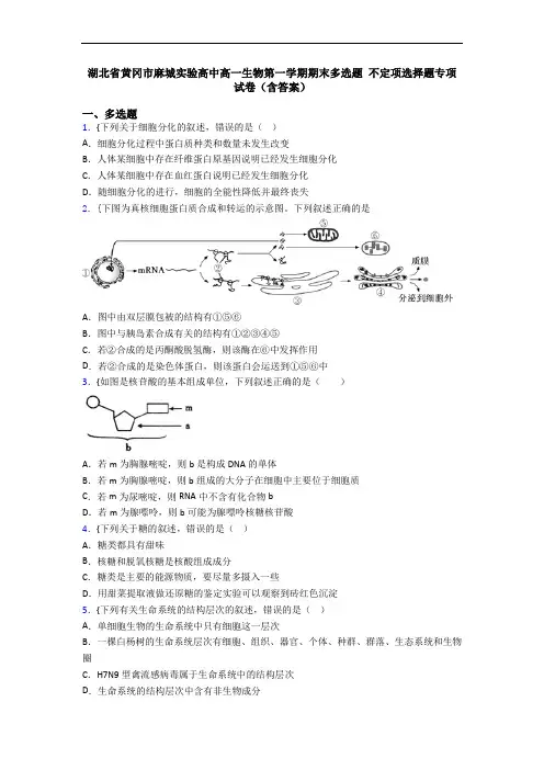湖北省黄冈市麻城实验高中高一生物第一学期期末多选题 不定项选择题专项试卷(含答案)