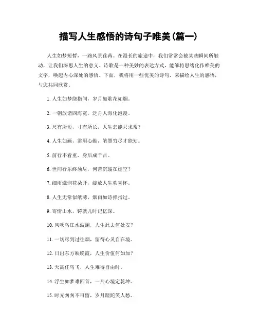 描写人生感悟的诗句子唯美(精选2篇)