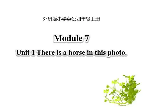 外研版四年级英语上册There is a horse in this photo课件