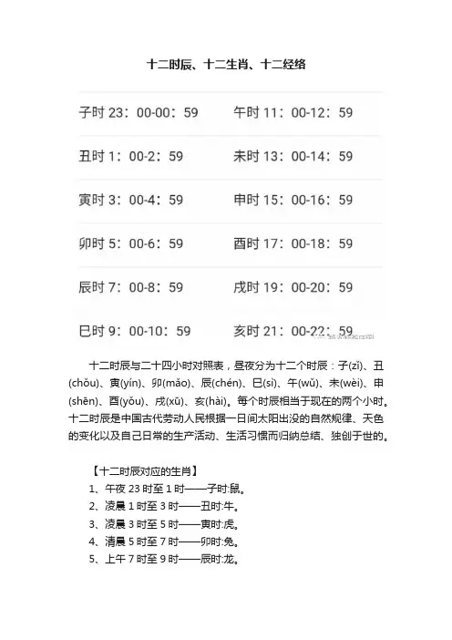 十二时辰、十二生肖、十二经络