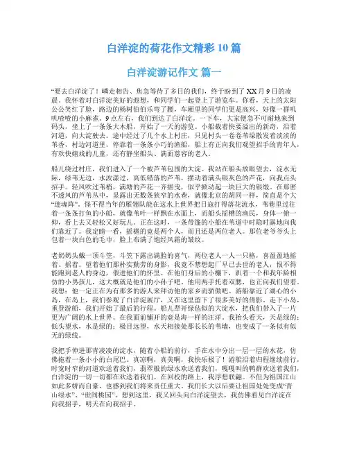 白洋淀的荷花作文精彩10篇