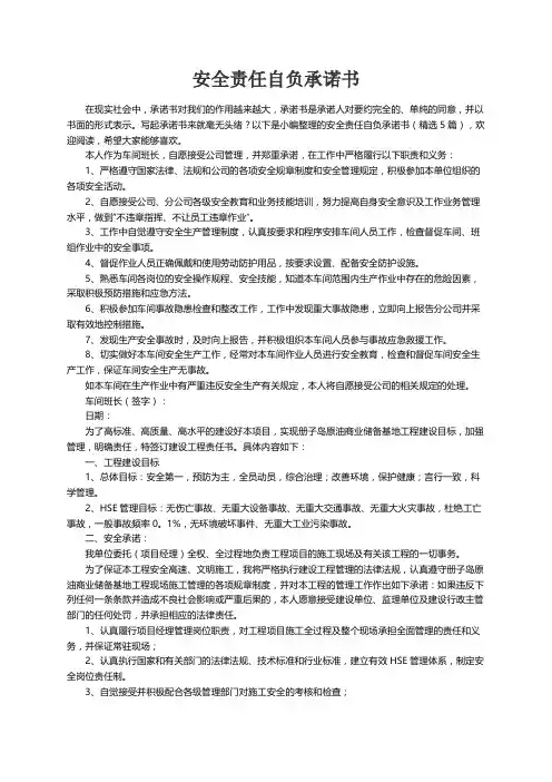 安全责任自负承诺书（精选5篇）