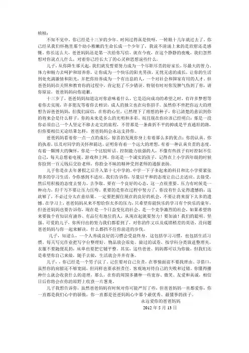 给儿子的一封信
