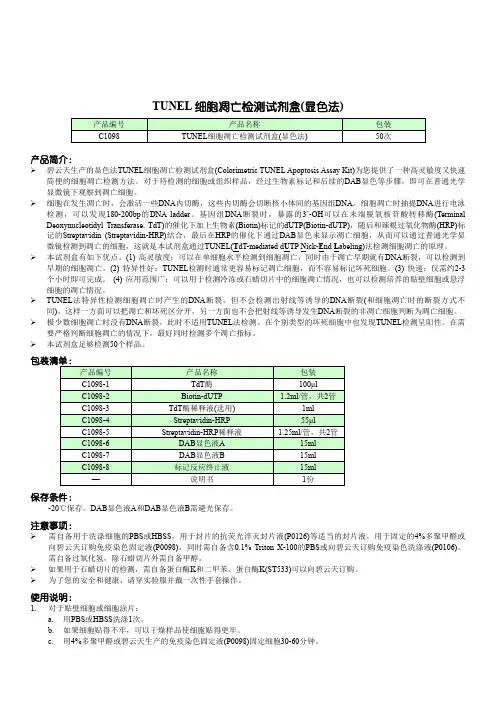 TUNEL细胞凋亡检测试剂盒显色法-碧云天