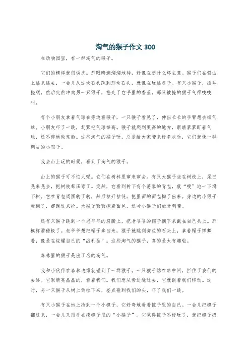 淘气的猴子作文300