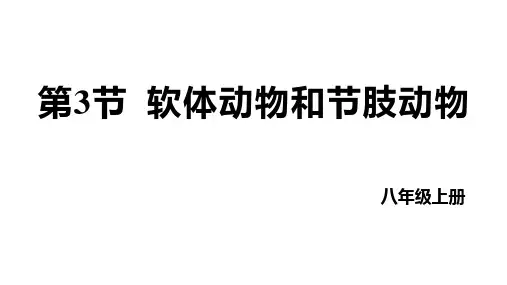 第三节软体动物和节肢动物课件-人教版生物八年级上册