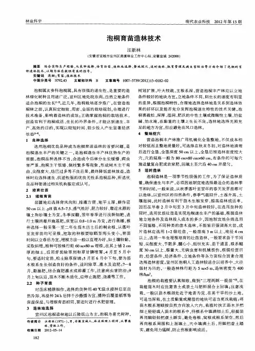 泡桐育苗造林技术