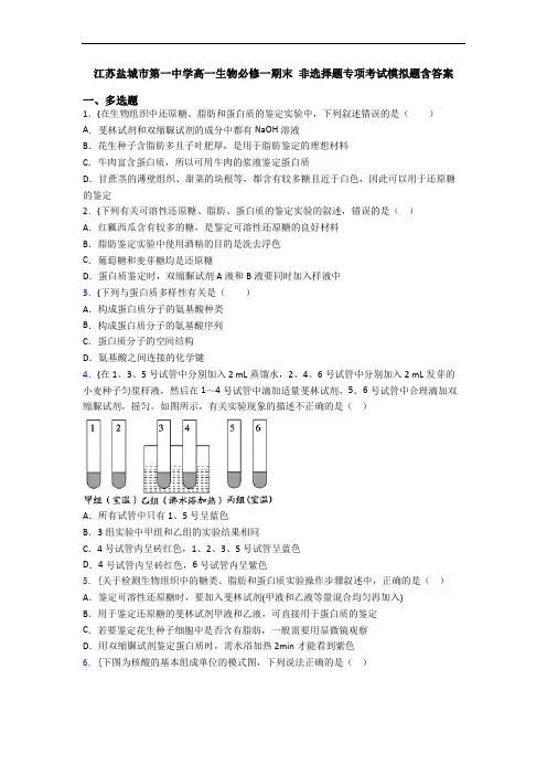 江苏盐城市第一中学高一生物必修一期末 非选择题专项考试模拟题含答案
