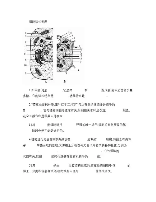 福建省高中生物会考大题汇总